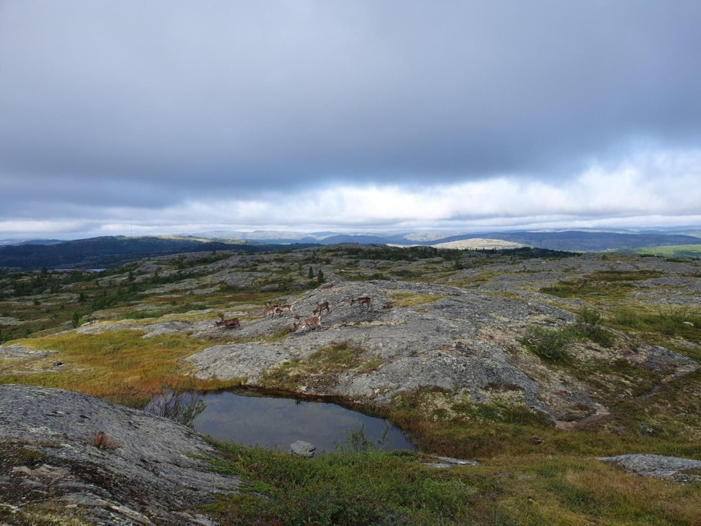 Naturtypskartläggning_3