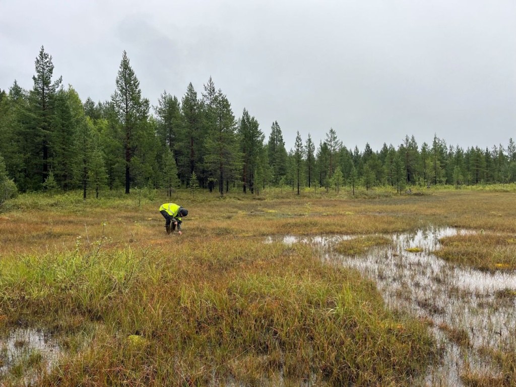 Naturtypskartläggning_4